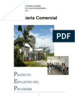 pe_icomercial.pdf