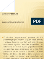 ANGIOSPERMAS.pdf