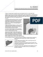 higado y funcion.pdf