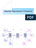 Reproductor Femenino_2011