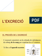 L'excreció