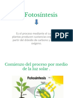  La Fotosíntesis- Power