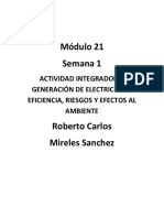 Mireles Sanchez Roberto Carlos - M21S1AI2 - Generaciondeelectricidad