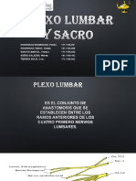 Plexo Lumbar y Sacro