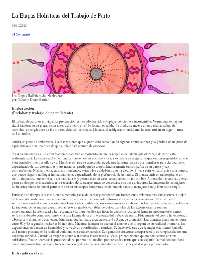 La Etapas Holísticas Del Trabajo De Parto