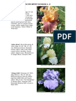 NZ Iris Import Database A-B