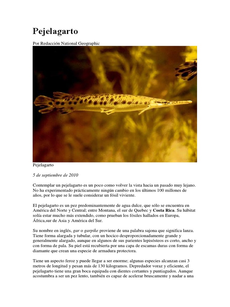 Pe Je Lagarto