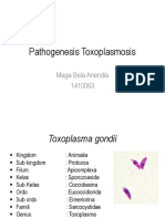 Pathogenesis Toxoplasmosis