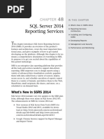 Reporting Services 2014 PDF