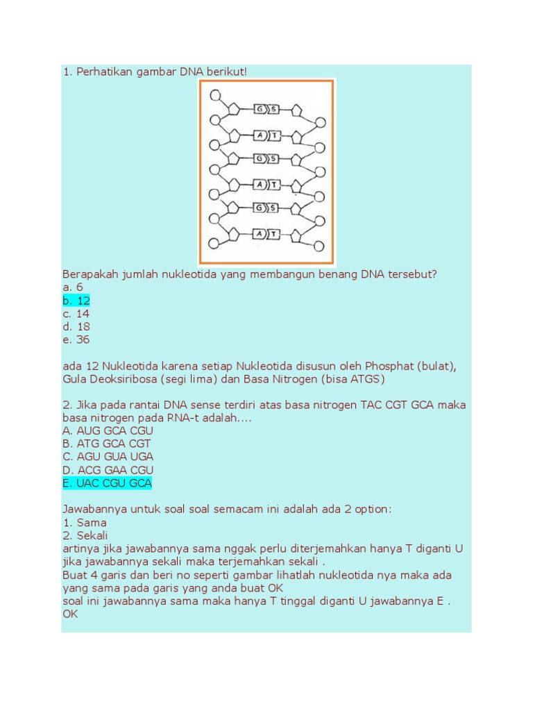 Soal Dna 2 | PDF