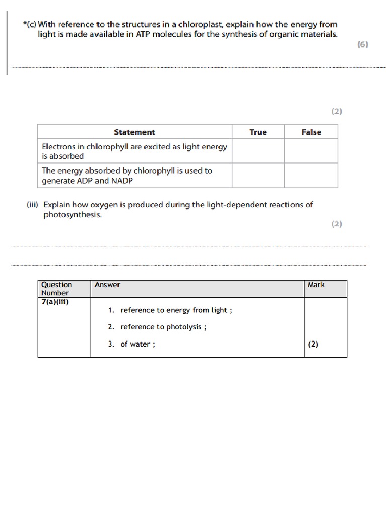 Photosynthesis Exam Questions | PDF