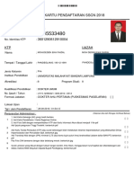 Report PDF