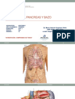 Ponencia Pancreas Actual