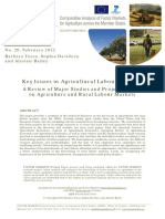 FM - WP20 Tocco Et Al Key Issues in Agricultural Labour Market