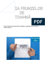 Bucuria Frunzelor de Toamna