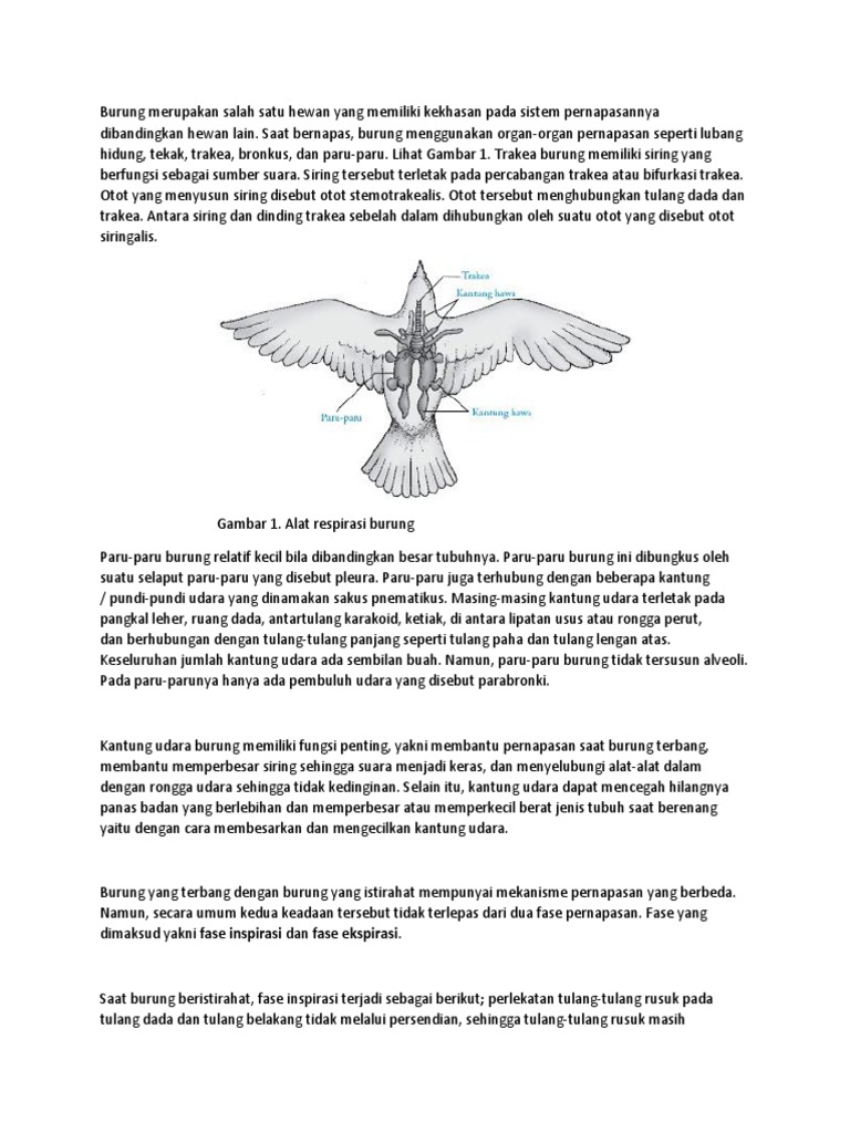 Biologi Pdf