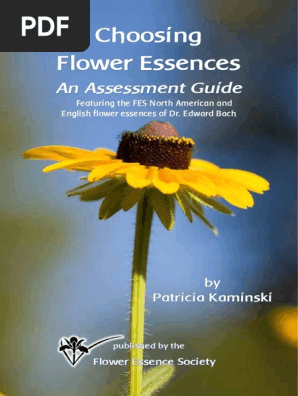 Choosing Flower Essence