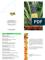 Pineapple Booklet PDF