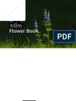 Shsc Flower Book