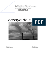 CONTAMINACIÓN DEL AIRE (Ensayo).doc