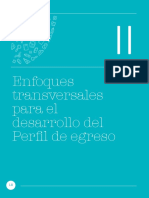 Los enfoques transversales orientan el Perfil de egreso