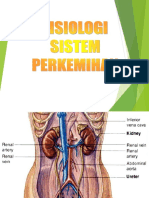 Sistem Perkemihan