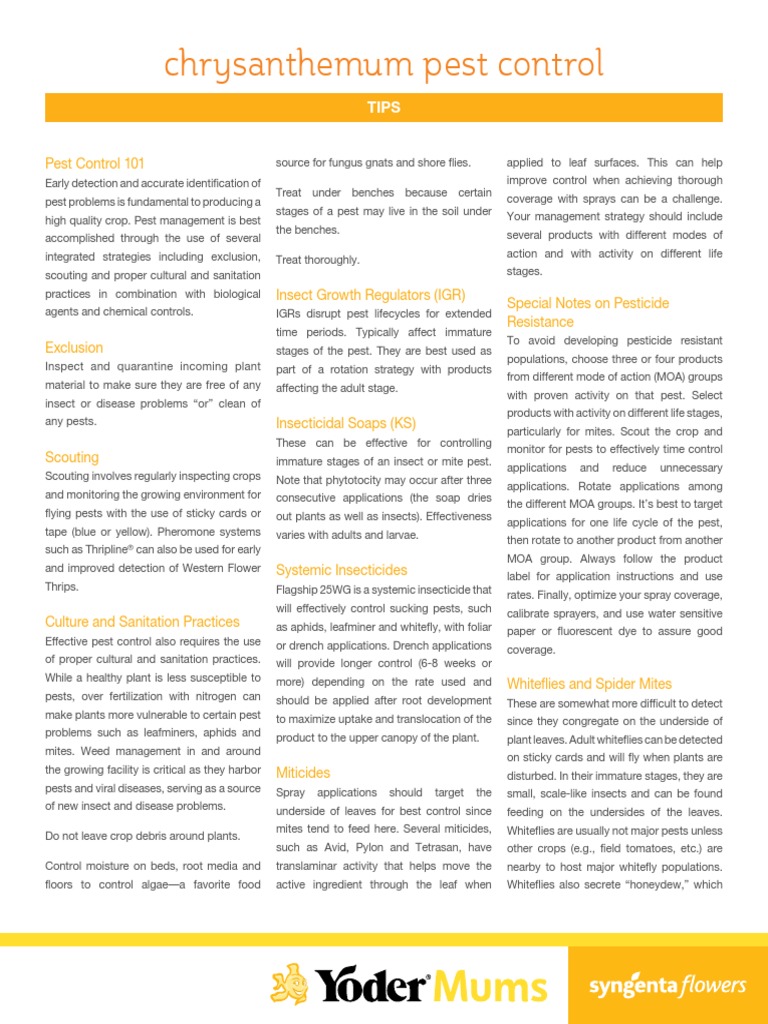 Chrysanthemum Pest Control PDF Pest Control Fly