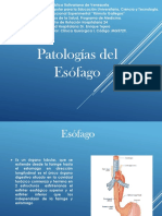 Patologías del esófago