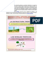 Ecologia Trófic1.docx
