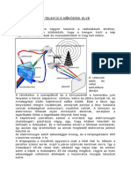 A Televizio Mukodesi Elve PDF