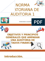 Norma Ecuatoriana de Auditoria 1