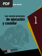 09 Los nuevos procesos de jecucion cautelar.pdf