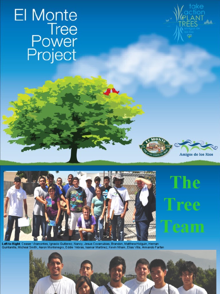 El Monte Tree Power Project Overview | PDF | Trees | Natural Environment