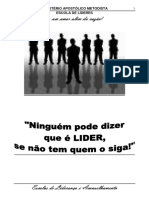 Aconselhamento e Liderança MAM.pdf