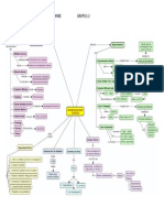 BIOETICA Mapa- Investigacion