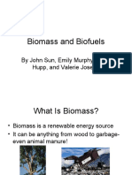 Biomass and Biofuels