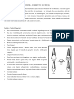 Estudo Individual Da Anatomia Dos Dentes Decíduos