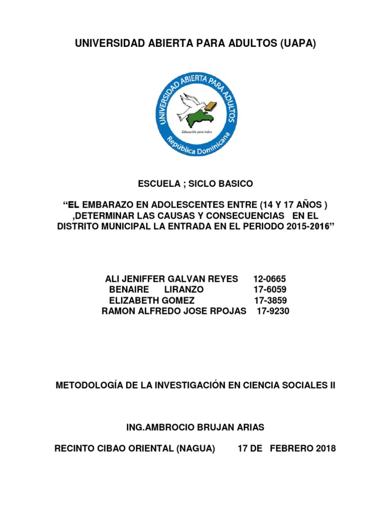 Metodologia Trabajo Final Causas Y Consecuencia Del Embarazo