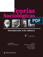 Varios autores - Teorías sociológicas