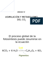 IA 2018 Unidad IV - Metabolismo CO2