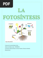 La Fotosíntesis