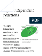 Light Independent
