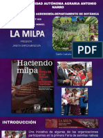 La Milpa