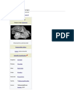 Mesopropithecus: Jump To Navigationjump To Search