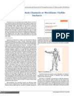 Acupuncture Main Channels or Meridians: Visible Surfaces: International Journal of Complementary & Alternative Medicine