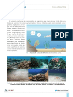 guía didáctica bentos.pdf