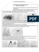 Prva Faza Razvoja Dječjega Crteža