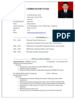 Curriculum Vitae.update