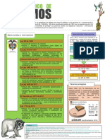 infografia 2 [Autoguardado]