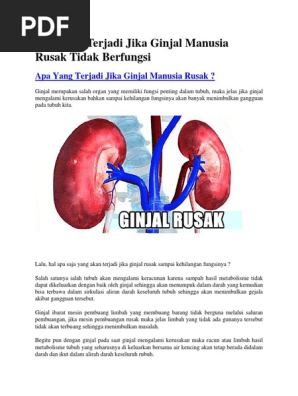 Download 440 Koleksi Gambar Ginjal Manusia Yg Rusak Terbaru Gratis HD